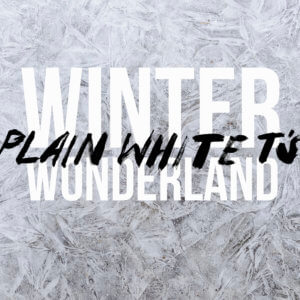 Featured image for “Winter Wonderland”