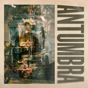 Featured image for “ANTUMBRA”