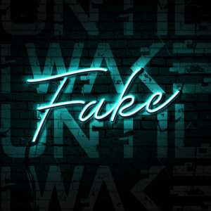 Featured image for “FAKE”
